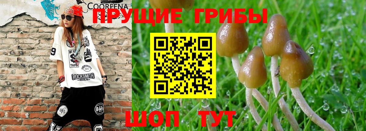 Галлюциногенные грибы мухоморы  Вход с VPN  Псилоцибиновые грибы прущие грибы  Новошахтинск 