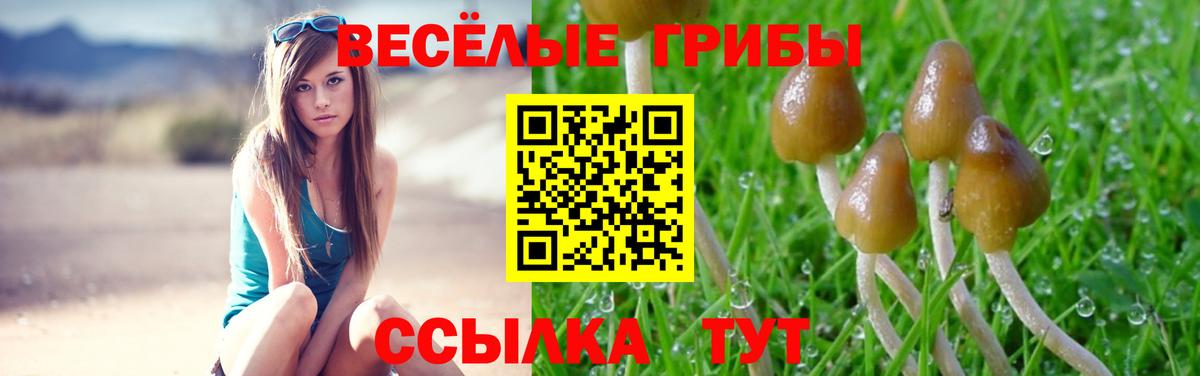 Псилоцибиновые грибы ЛСД Новошахтинск